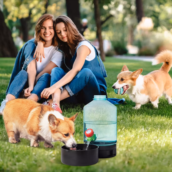 Large Capacity Square Pet Plastic Dry Spice Storage Bottle for Kitchen